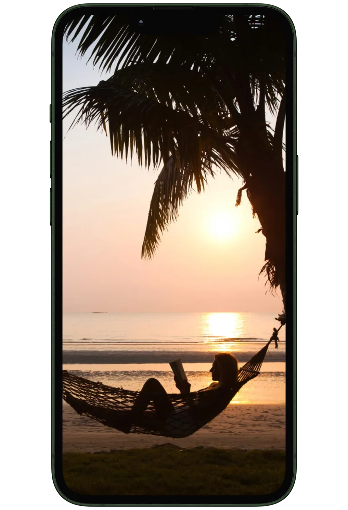 Man reading a book on a hammock between palm trees